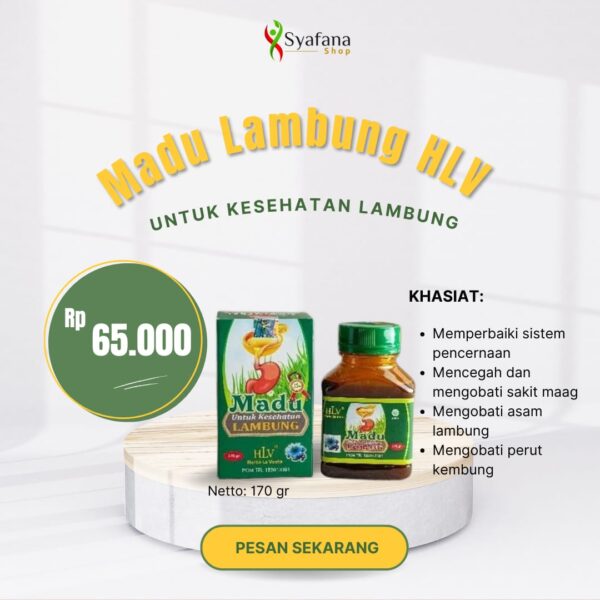 Madu Lambung HLV